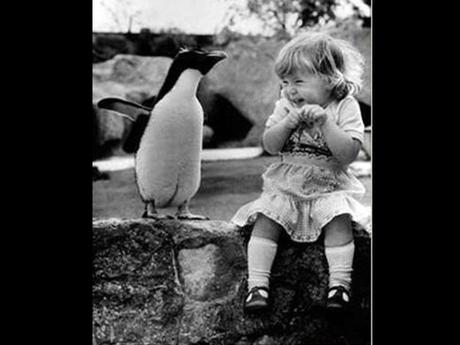 Divers - de belles images - 4