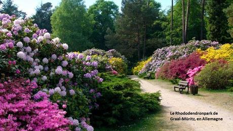 Fleurs et Plantes - Les plus beaux jardins du monde