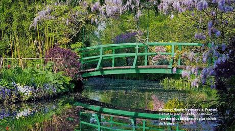 Fleurs et Plantes - Les plus beaux jardins du monde