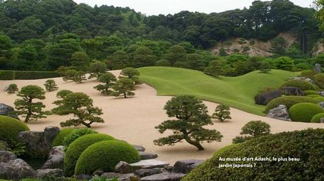 Fleurs et Plantes - Les plus beaux jardins du monde