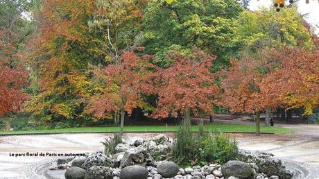 Fleurs et Plantes - Les plus beaux jardins du monde