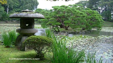 Fleurs et Plantes - Les plus beaux jardins du monde