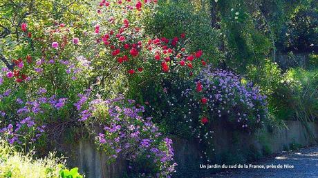 Fleurs et Plantes - Les plus beaux jardins du monde