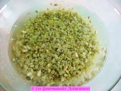 Tartinade verdoyante à la courge (Vegan) Tartinade verdoyante à la courge (Vegan)