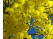 Terres femmes février 2022