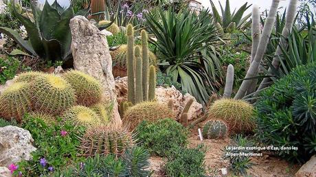 Fleurs et Plantes - Les plus beaux jardins du monde 2