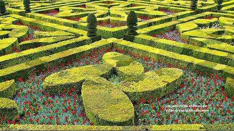 Fleurs et Plantes - Les plus beaux jardins du monde 2