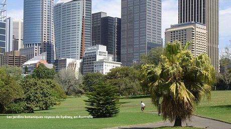 Fleurs et Plantes - Les plus beaux jardins du monde 2