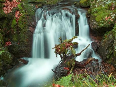 Territoire de Belfort - Cascade de la Savoureuse © Thomas Bresson - licence [CC BY 3.0] from Wikimedia Commons