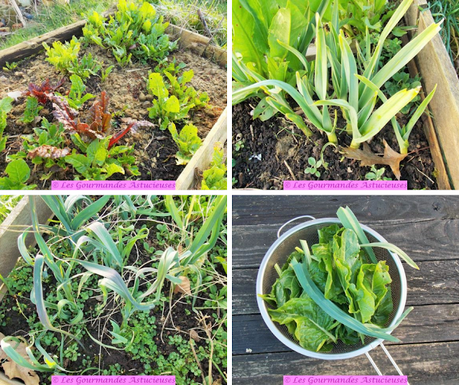 Gratin gourmand à la courge (Vegan et sans gluten) Gratin gourmand à la courge (Vegan et sans gluten)