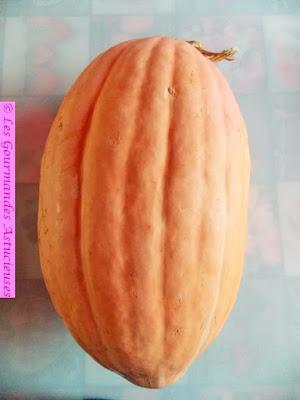 Gratin gourmand à la courge (Vegan et sans gluten) Gratin gourmand à la courge (Vegan et sans gluten)