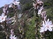 Seamus Heaney George Séféris Enfers