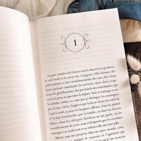 Roman ado : Havenfall Roman ado : Havenfall