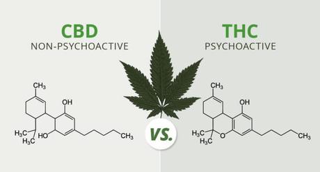 Quels sont les bienfaits du CBD ? Quels sont les bienfaits du CBD ?