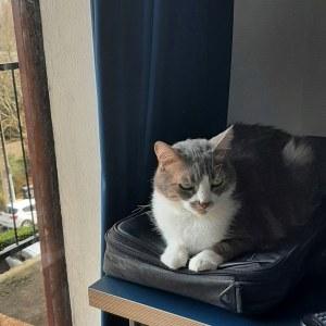 C’était février C’était février