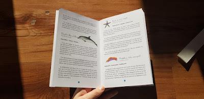 Mon coffret montessori Océan Mon coffret montessori Océan