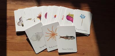 Mon coffret montessori Océan