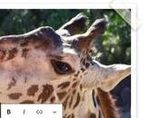 L’expérience multimédia avenir dans WordPress Tavern