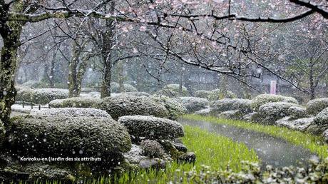 Fleurs et Plantes - Les plus beaux jardins du monde 3