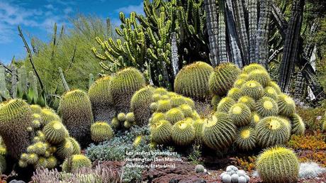 Fleurs et Plantes - Les plus beaux jardins du monde 3