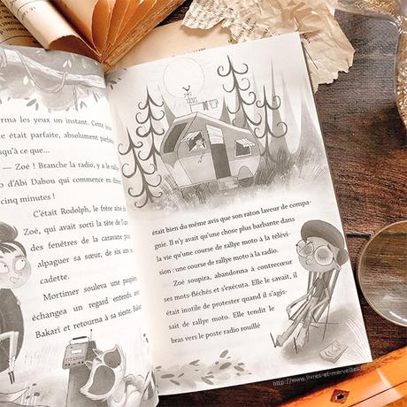 Roman jeunesse : Bakari Champollion Chasseur de trésor Roman jeunesse : Bakari Champollion Chasseur de trésor