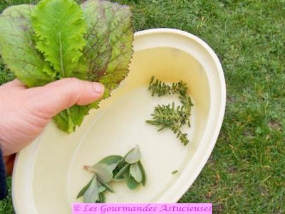 Houmous aux champignons et ses crackers express (Vegan) Houmous aux champignons et ses crackers express (Vegan)