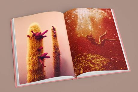 KATE BELLM – LA ISLA