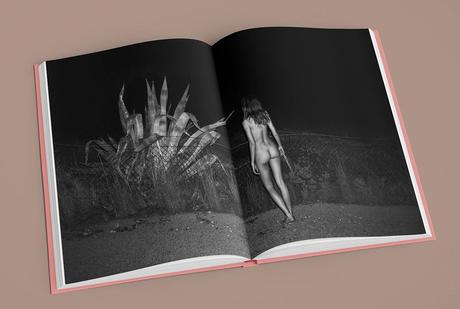 KATE BELLM – LA ISLA