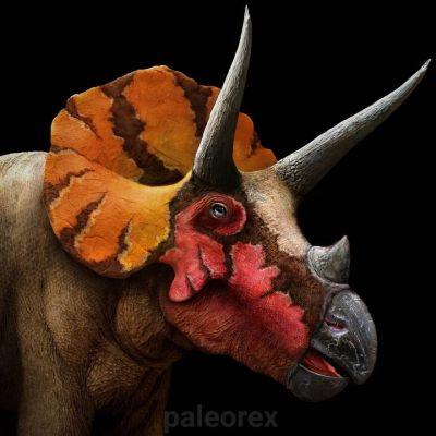 Animaux préhistoriques par Paleorex