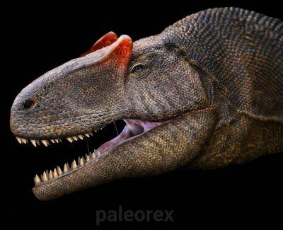 Animaux préhistoriques par Paleorex