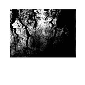 Franco Fortini / Feuille de route