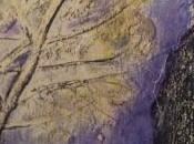 Carnet temps troubles Voyage Italie.