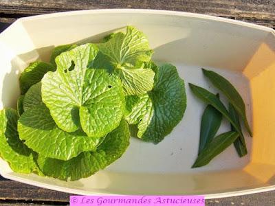 Pesto Vegan au wasabi et à l'ail des ours Pesto Vegan au wasabi et à l'ail des ours