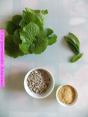 Pesto Vegan au wasabi et à l'ail des ours Pesto Vegan au wasabi et à l'ail des ours
