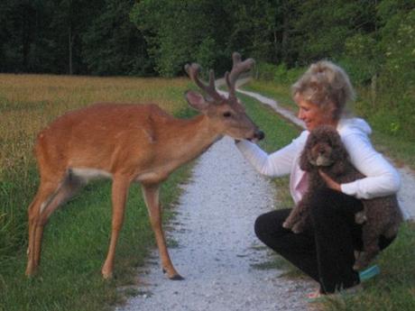 Divers - Quelle chance