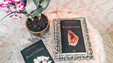 [Lecture] Foudroyés : L’excellente suite d’assoiffés !