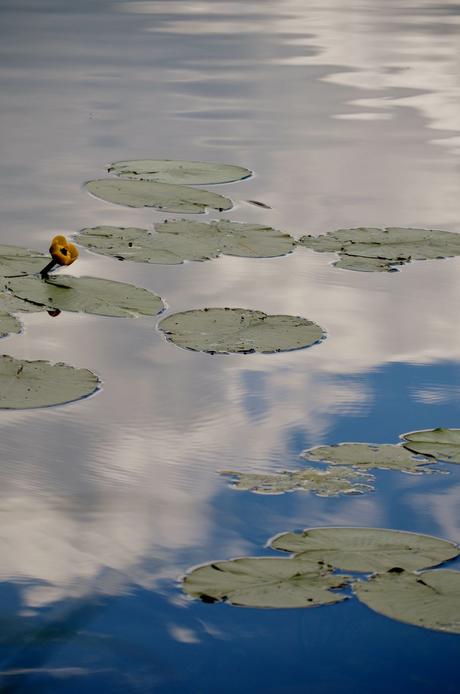 Printemps des poètes