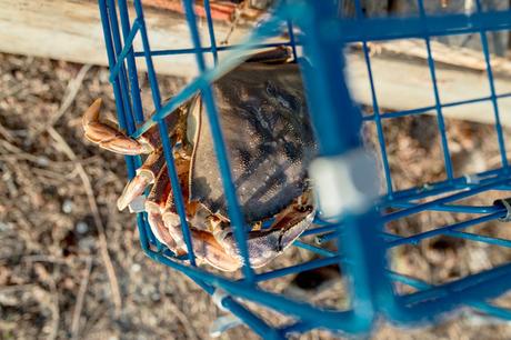 créé à : 04/28/2016