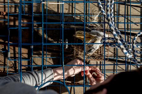 créé à : 04/28/2016