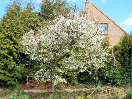 Le printemps arrive, la nature se réveille !