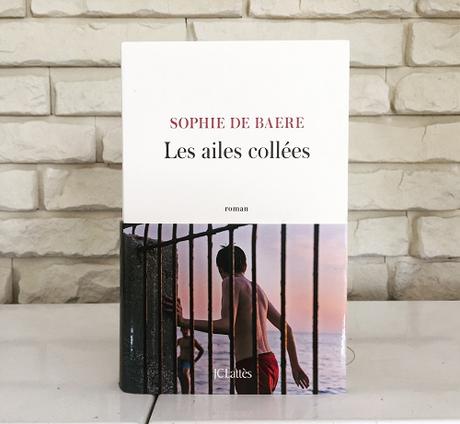 Les ailes collées – Sophie de Baere