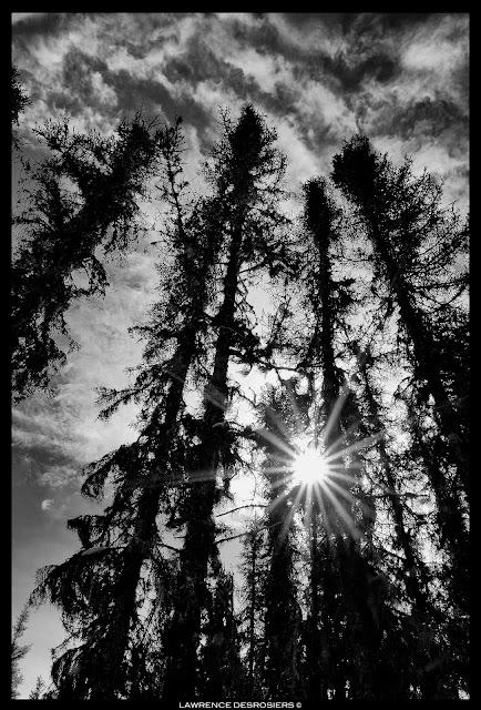 Étoiles… Étoiles…