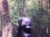 Galerie Loft MONUMENTAL exposition Avril 2022.