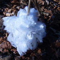 Des cheveux de glace