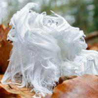 Des cheveux de glace