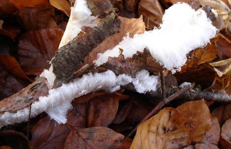 Des cheveux de glace