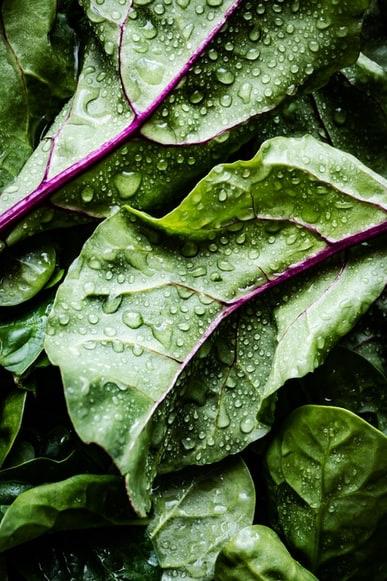 C’est le retour des salades ! 3 recettes qui vont ravir toute la famille… C’est le retour des salades ! 3 recettes qui vont ravir toute la famille…