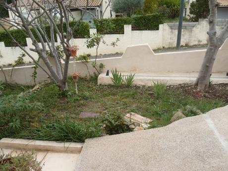 P1090844 avant Gravier 18 03 22.JPG