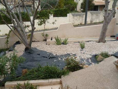 P1090845 pendant Gravier 18 03 22.JPG