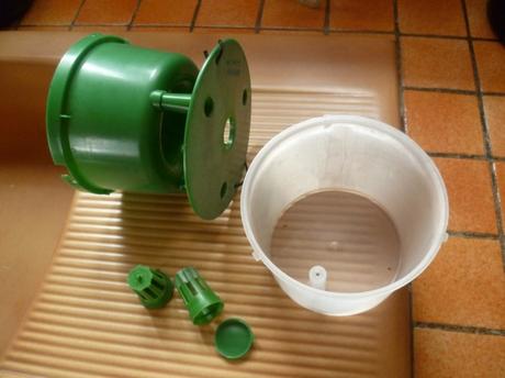 jardin,jardinage,fleurs,aménagement,plantes,taille,buis,traitement,pyrale du buis,phéromones